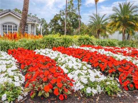 Sapphire Lakes Naples Florida Homes for Sale