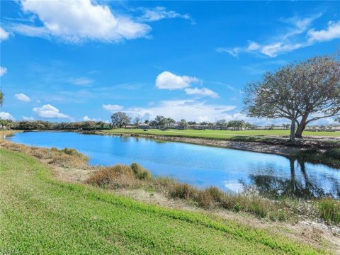 Spring Run At The Brooks Estero Florida Real Estate