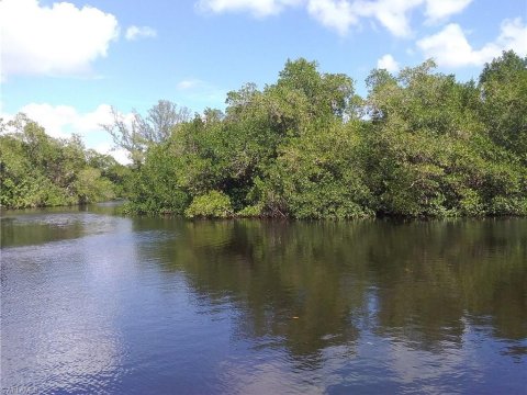 Storter Naples Real Estate