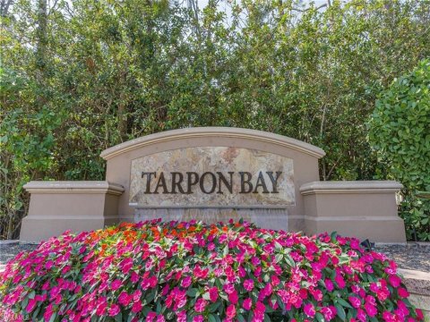 Tarpon Bay Real Estate