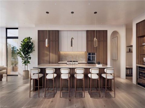 The Avenue Naples Florida Real Estate