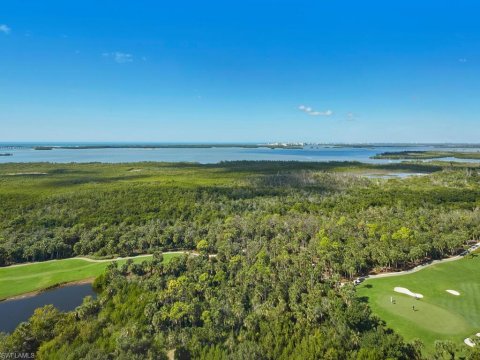 The Colony At Pelican Landing Estero Florida Real Estate