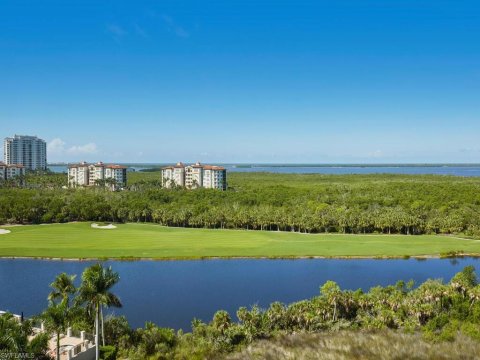 The Colony At Pelican Landing Real Estate