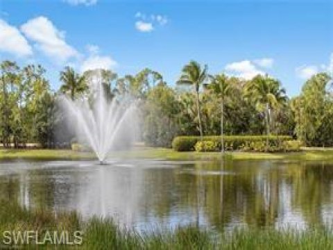 Tiburon Naples Real Estate