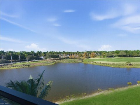 Tiburon Naples Real Estate