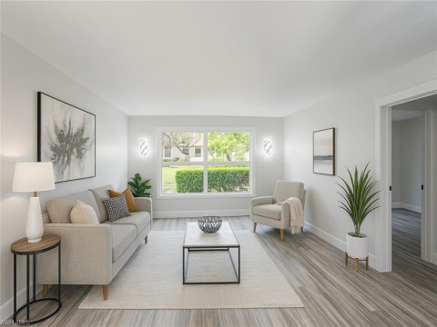 Village Green Naples Florida Real Estate