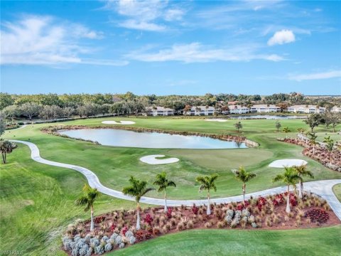 Vineyards Naples Florida Real Estate