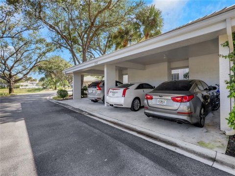 Vineyards Naples Florida Real Estate