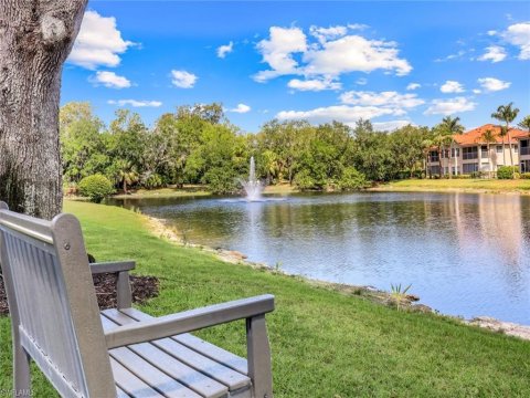 Vineyards Naples Florida Real Estate