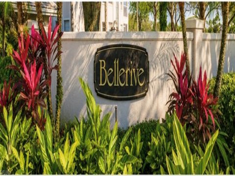 Vineyards Naples Real Estate