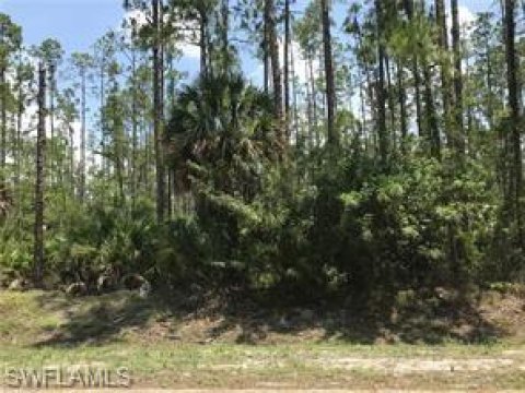 Weber Woods Naples Florida Land for Sale